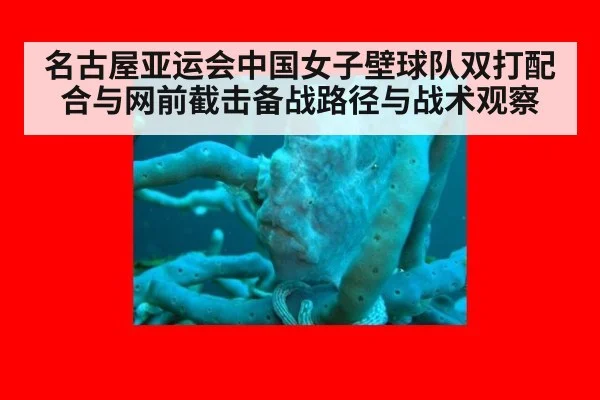 名古屋亚运会中国女子壁球队双打配合与网前截击备战路径与战术观察